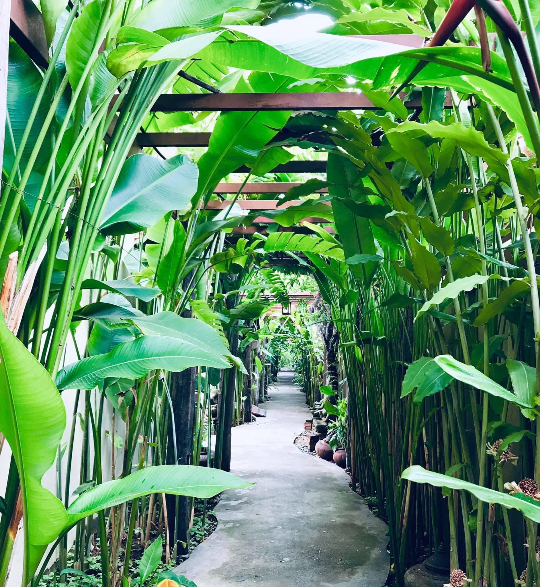 Shewe Wana Suite Resort Chiang Mai Exterior foto