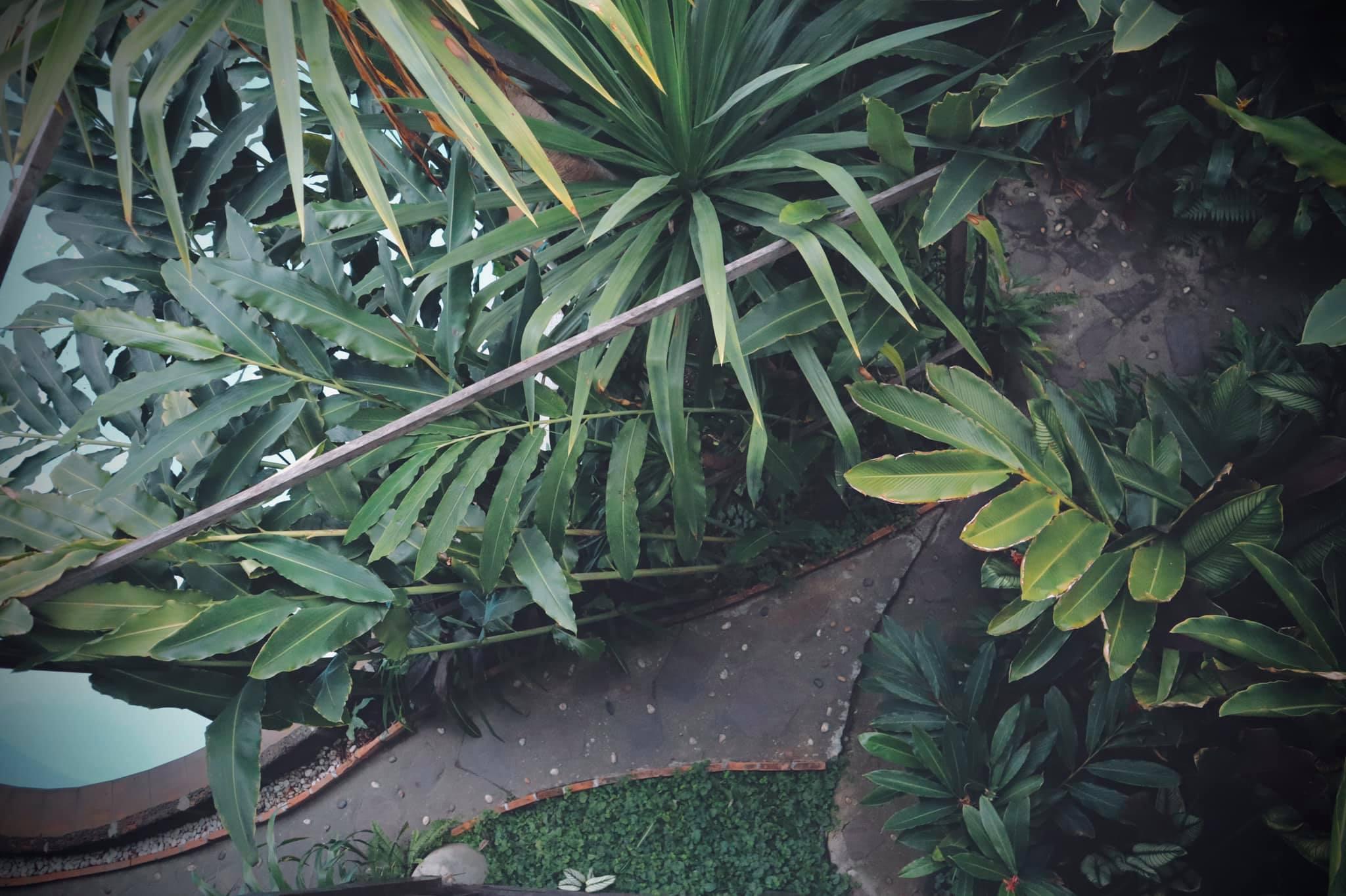 Shewe Wana Suite Resort Chiang Mai Exterior foto